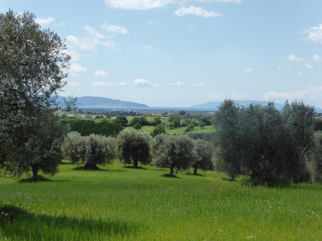 Tenuta Campospillo Magliano in Toscana Bagian luar foto